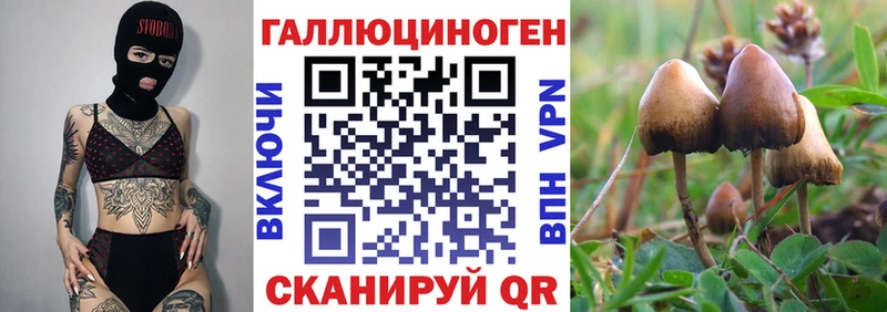 Галлюциногенные грибы мицелий  Кондрово 
